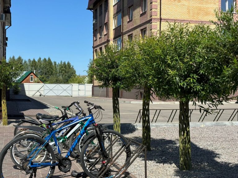 3-к квартира 66.2 кв.м 3/4 этаж