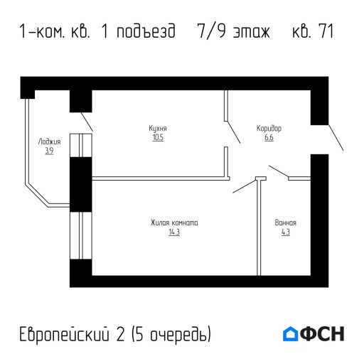 Европейский 2 5 очередь Квартира 71